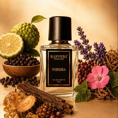 NOXERA | Eau De Parfum | 50ml